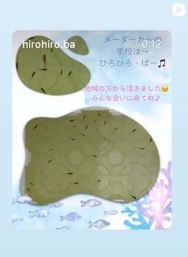地域の方からメダカを頂きました。