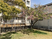IMG_3115.jpg