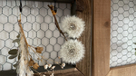 D18B3CEE-9D05-4AF5-A9B8-0909EF71D845-thumbnail2.jpg
