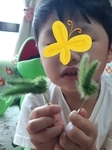 20210915213309225-thumbnail2.jpg