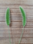 20210915213038247-thumbnail2.jpg