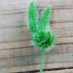 20210915213247314-thumbnail2.jpg