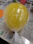 20210616215016552-thumbnail2.jpg