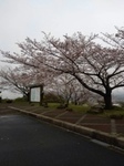 IMG_1966-thumbnail2.jpg