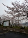 IMG_1965-thumbnail2.jpg