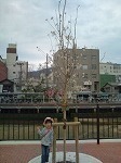03-thumbnail2.jpg