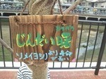 04-thumbnail2.jpg