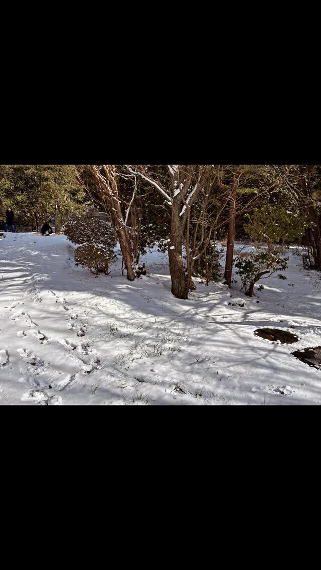 1月３日、雪遊びをしに野呂山へ。