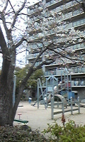 hamada.jpeg