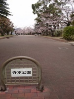 teramoto.jpeg